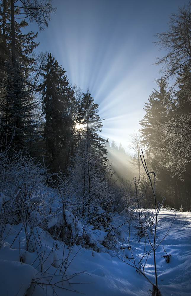 Der Kampf der Sonne gegen den Nebel(2)...