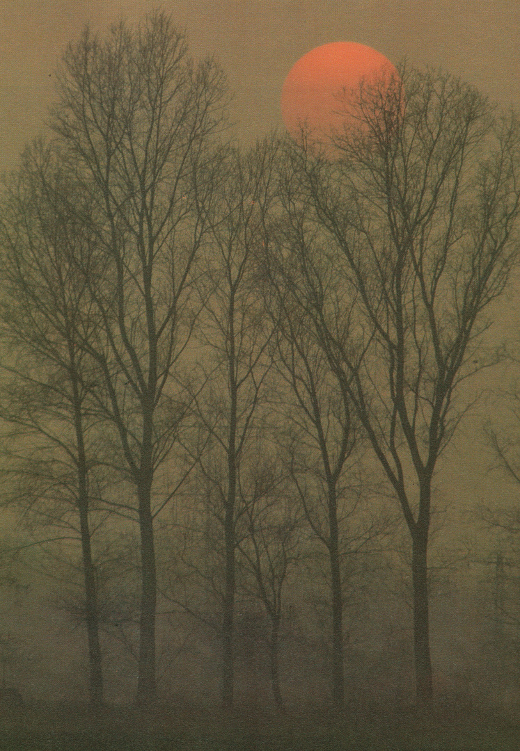 Der Kampf gegen den Morgennebel