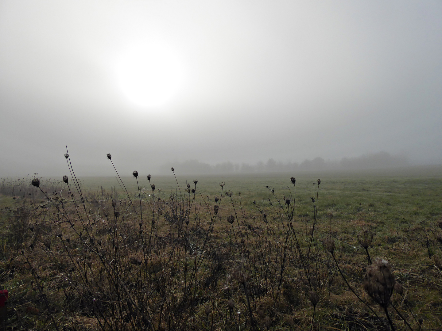 Der Kampf gegen den Nebel