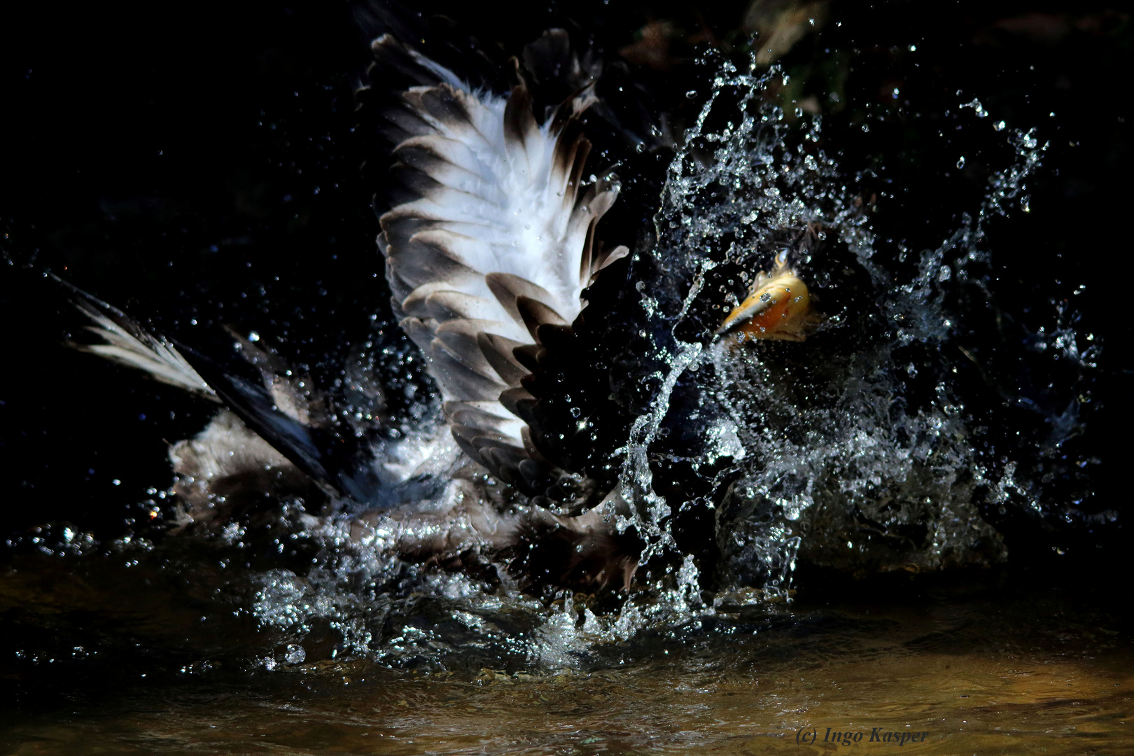 Der Kampf mit dem Wasser