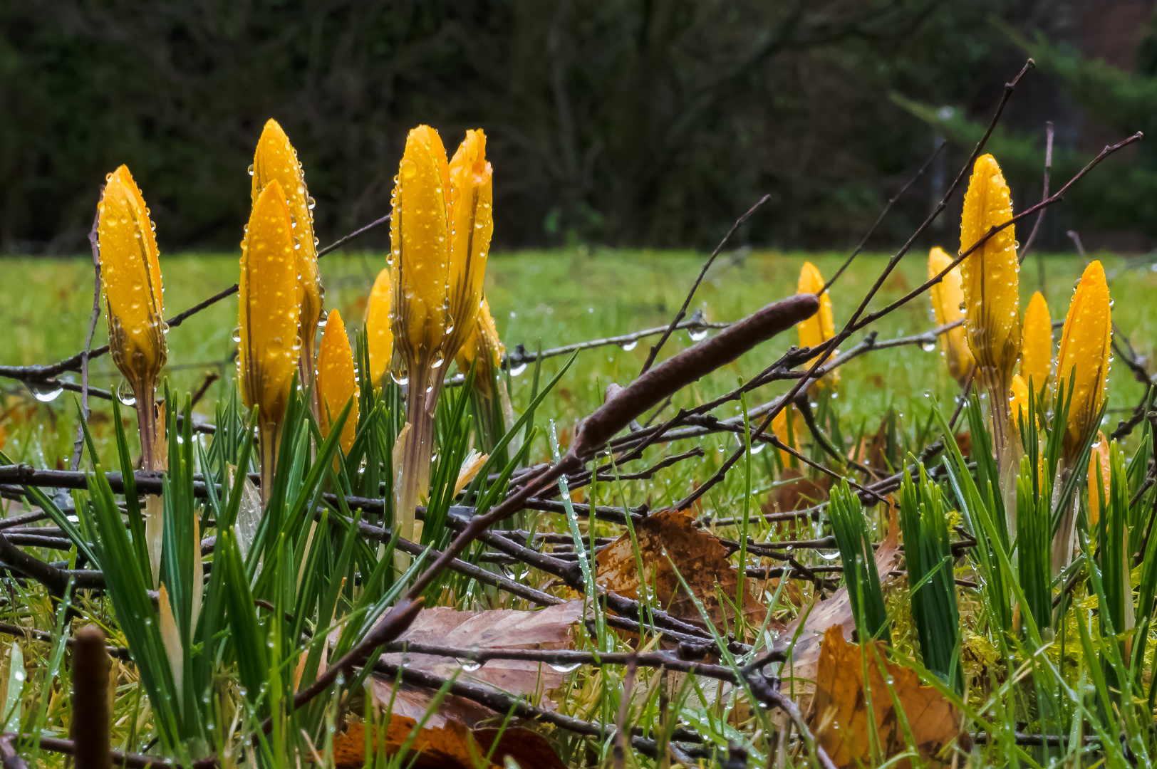 Der Kampf um den Frühling