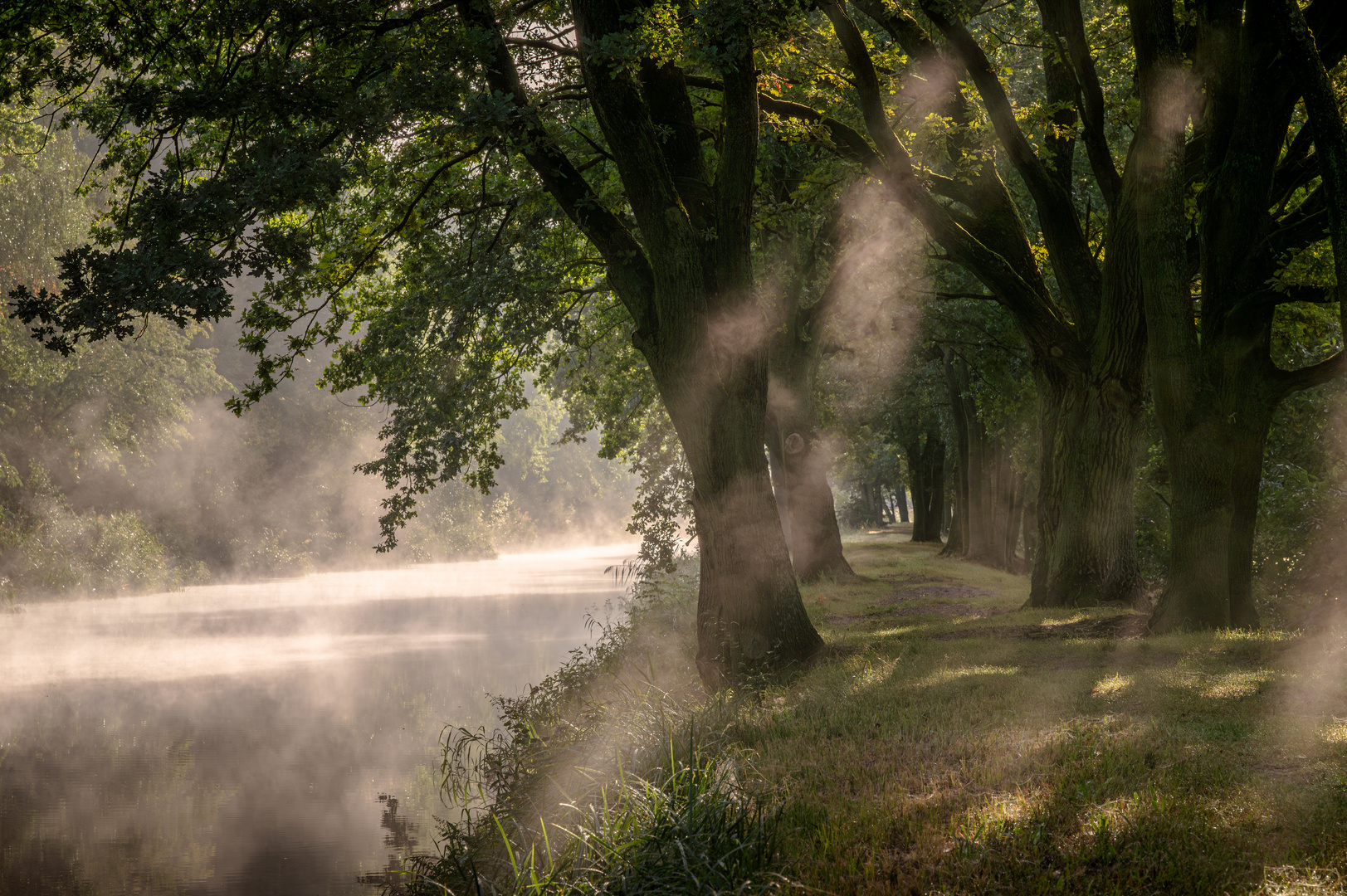 Der Kanal im Nebel