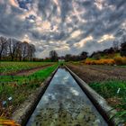 Der Kanal im Park