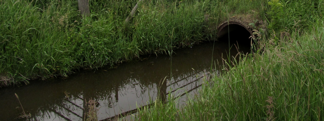 der Kanal ist voll !