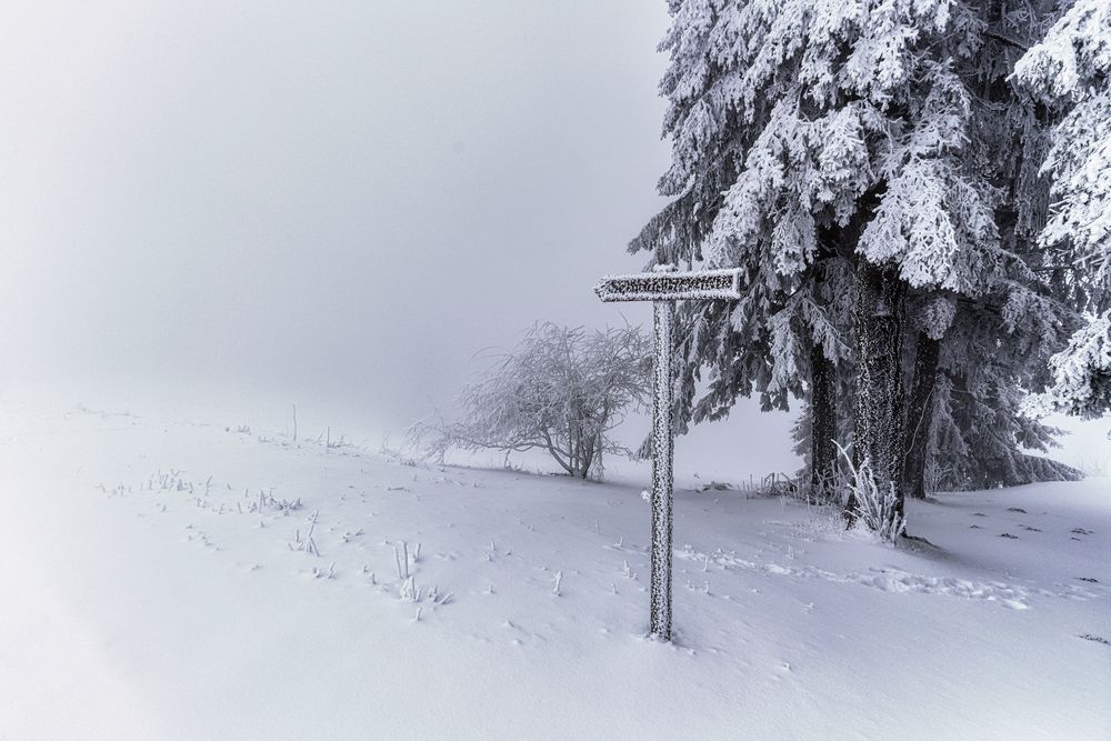 Der  Kandel im Nebel 19.01.23