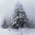 Der Kandel im Nebel 