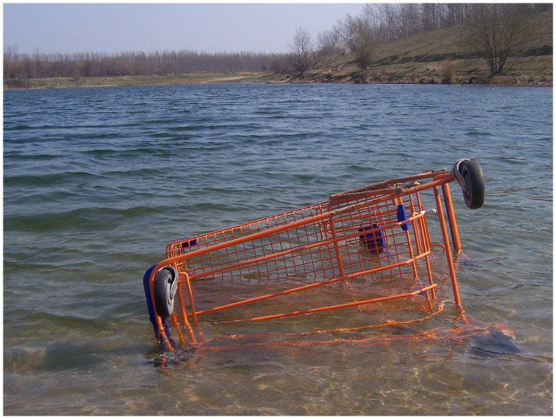 Der kann doch garnicht schwimmen!