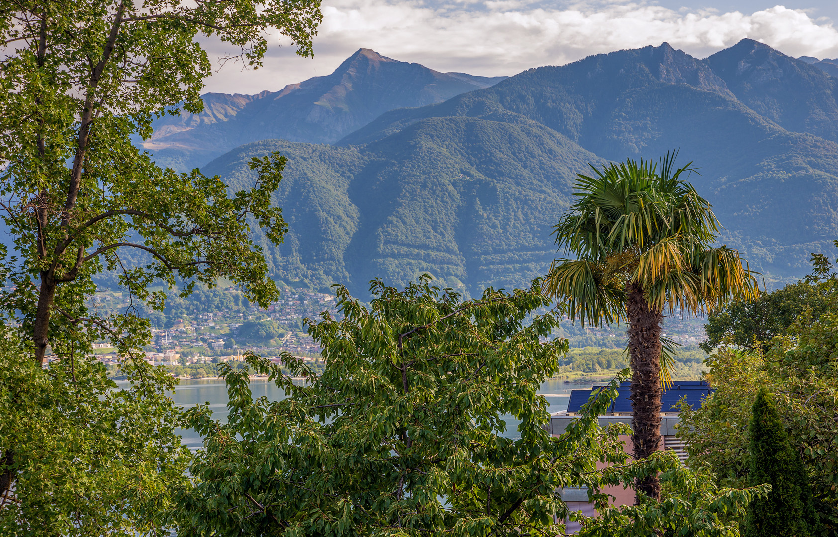 Der Kanton Tessin die Oase Foto & Bild  world, sommer, natur Bilder auf fotocommunity