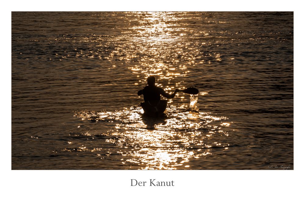 Der Kanut