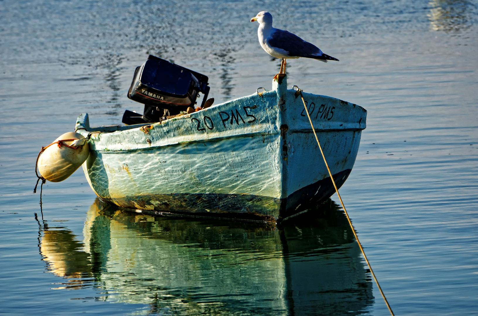 Der Kapitän und sein Boot