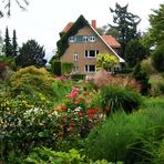 Der Karl-Foerster-Garten in Potsdam