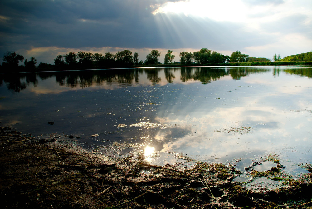 Der Karpfenteich von Franziska Mohaupt 