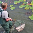 DER KARPFENTEICH WIRD ABGELASSEN