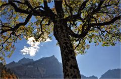 DER KARWENDEL IM GEGENLICHT