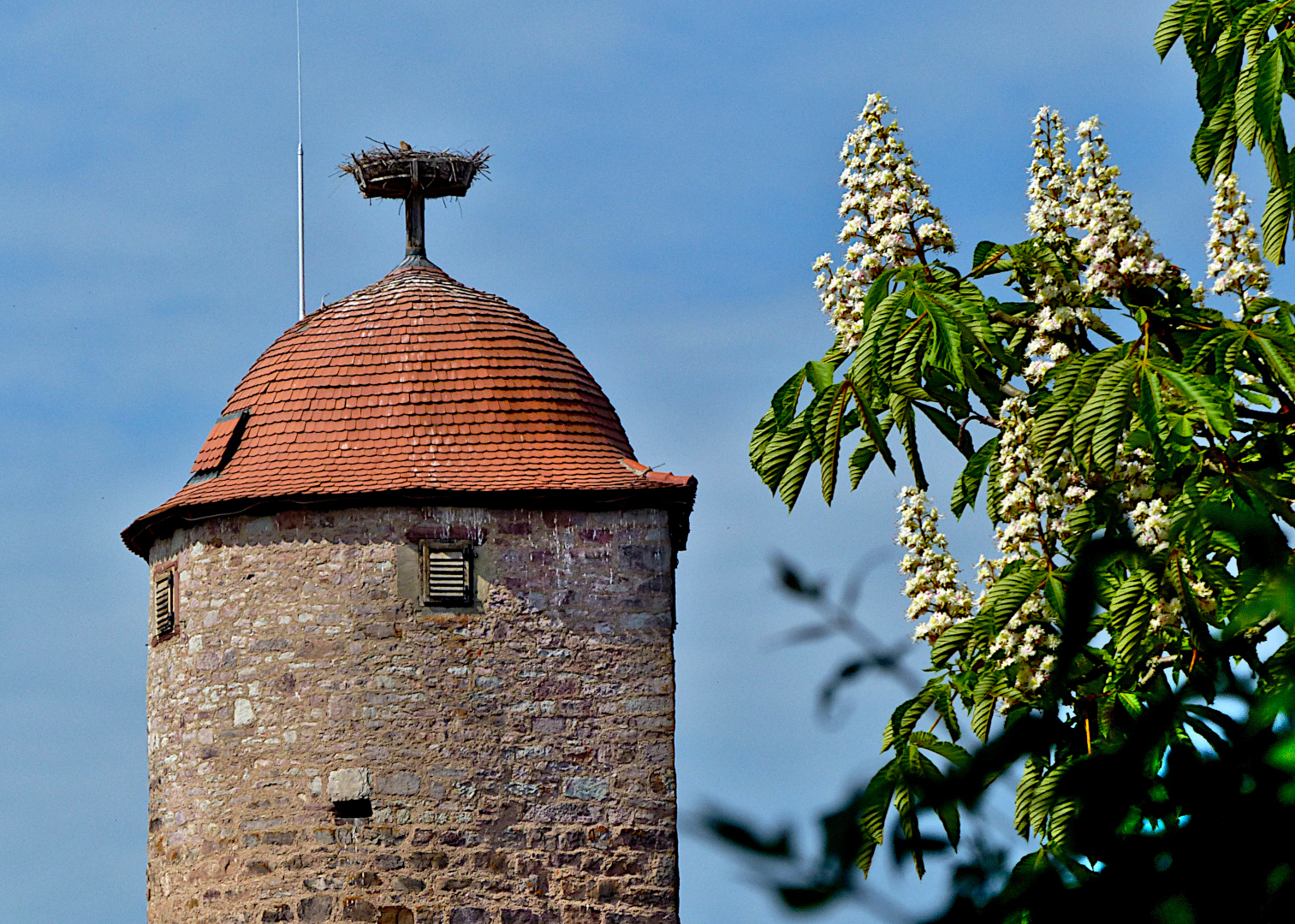 Der Kastanienturm