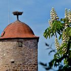 Der Kastanienturm