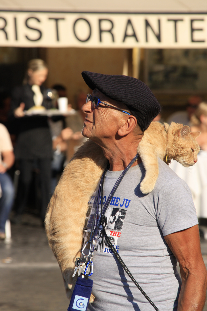 Der Kater immer dabei