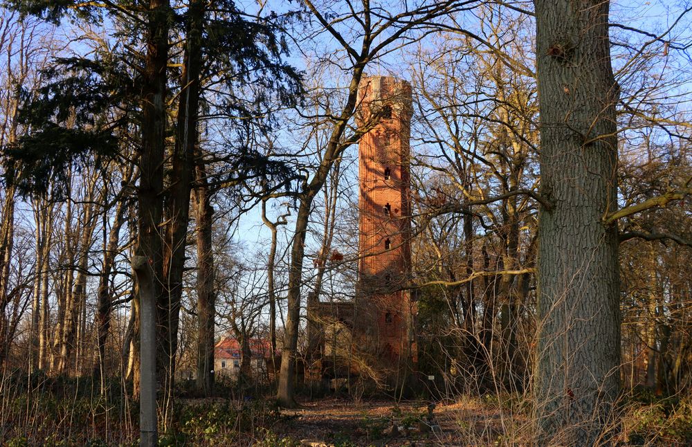 Der Katzenturm ...