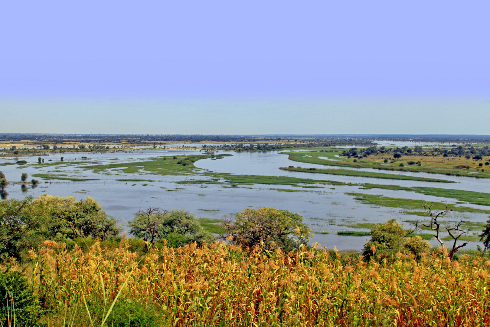 Der Kavango in Nord Namibia mit seinen Überlaufgebieten.