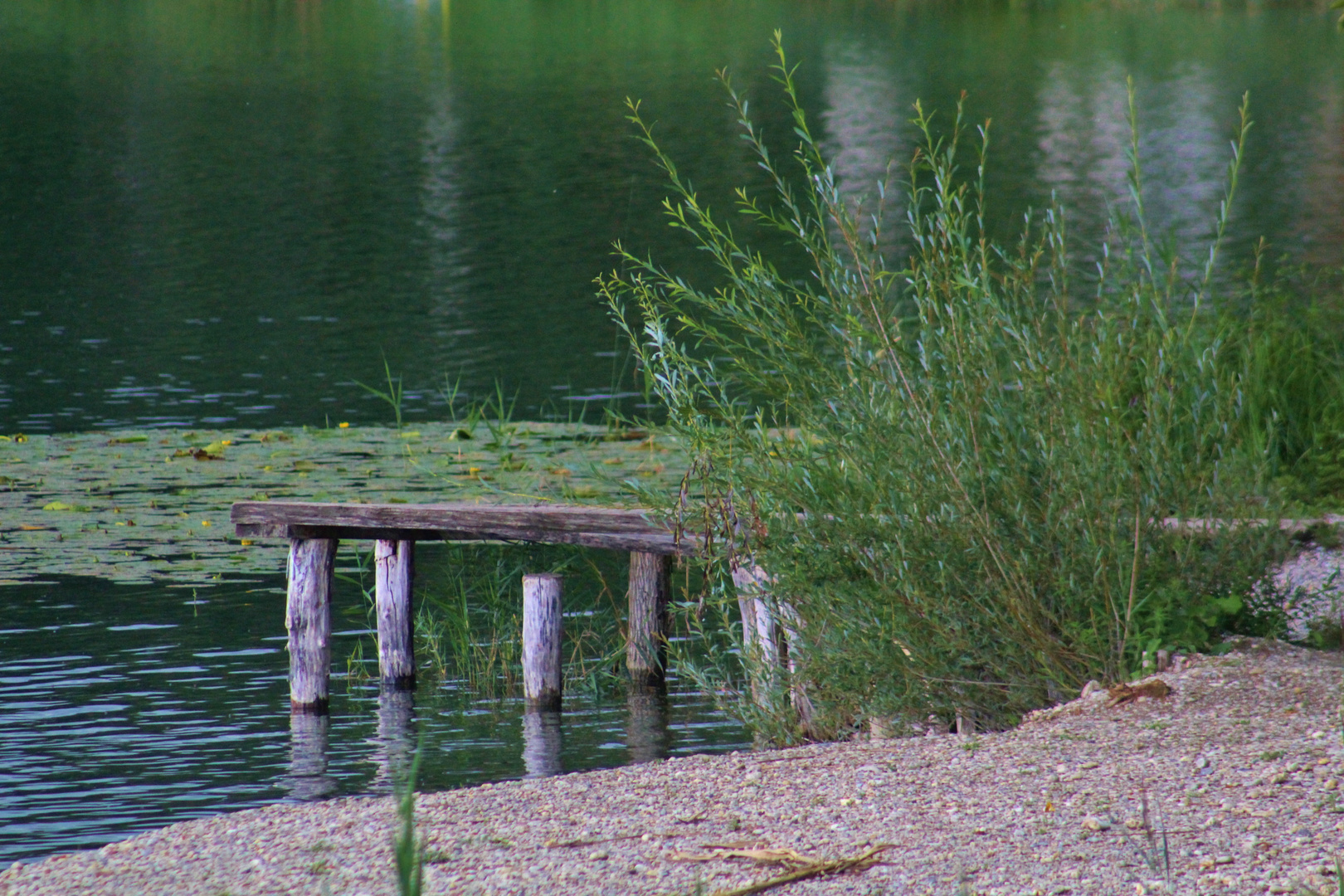 der keine Steg am See