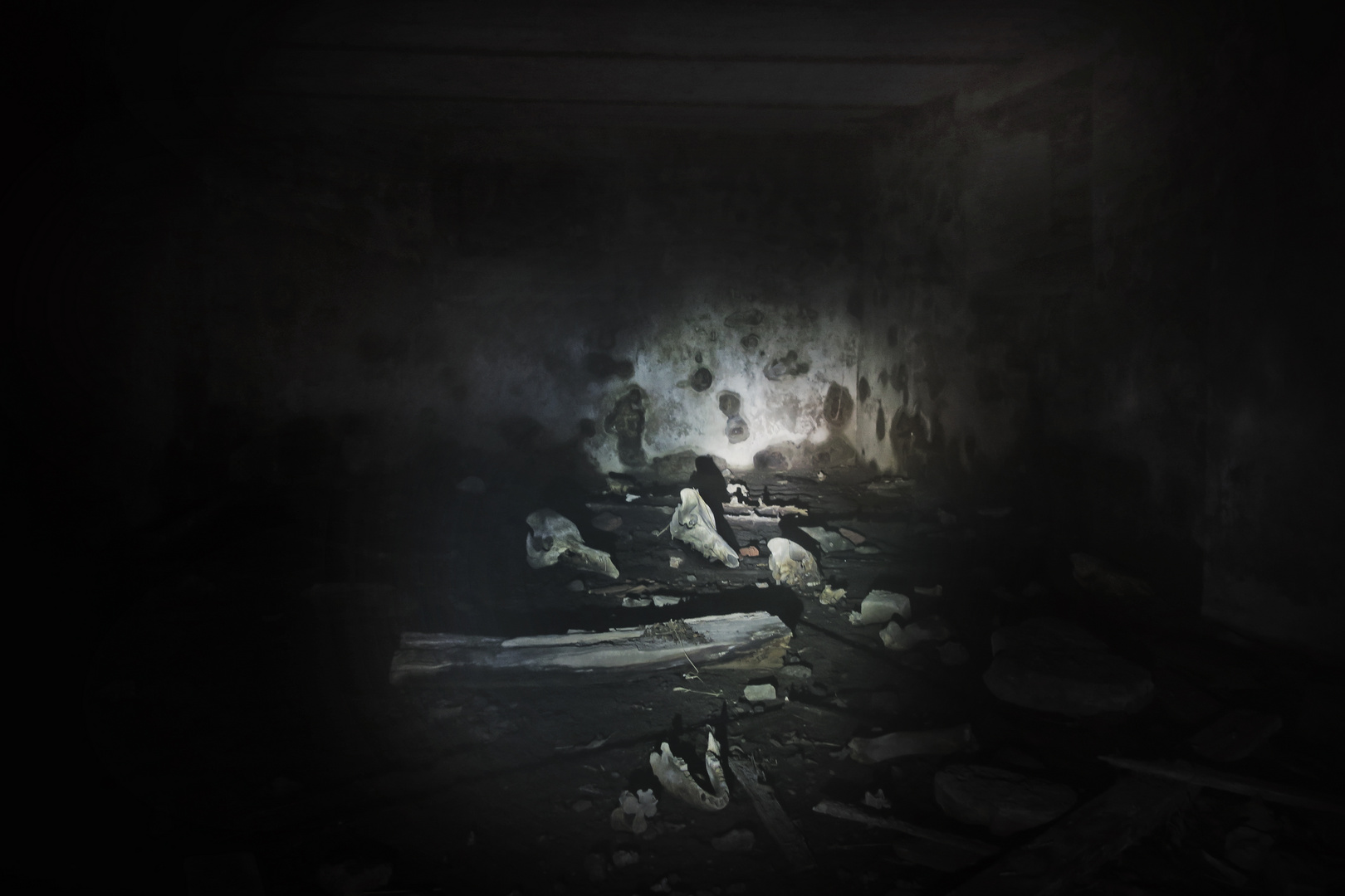 Der Keller unter dem Stall Foto & Bild | marode, keller, licht Bilder