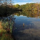 Der Kennelteich im Licht