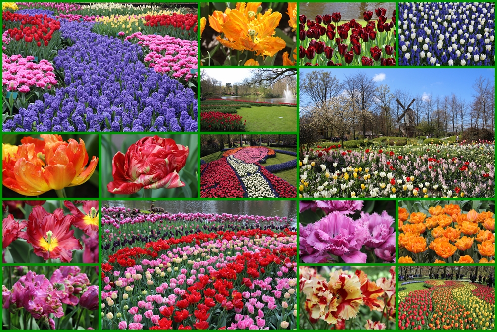 *Der Keukenhof in Holland*