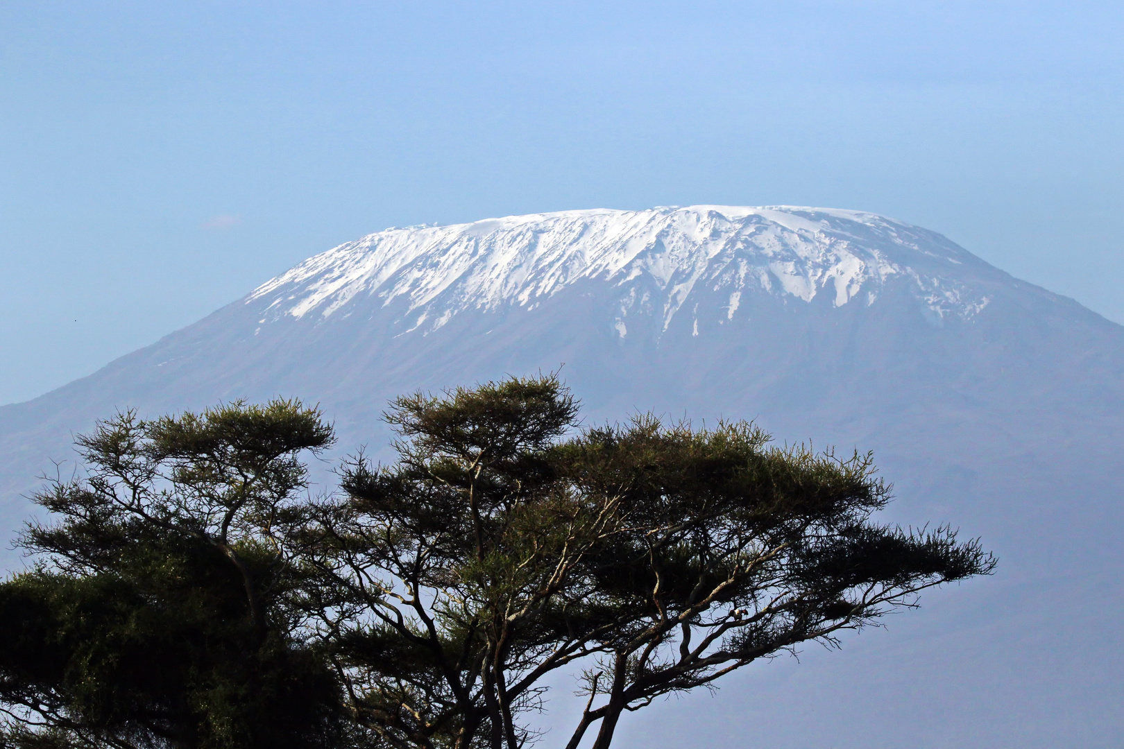 der Kibo Foto & Bild natur, landschaft, berge Bilder auf