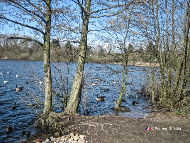 Der Kieler Tröndelsee..