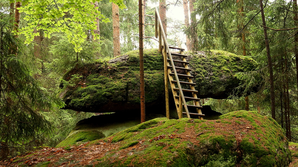 . der Kierlingstein .