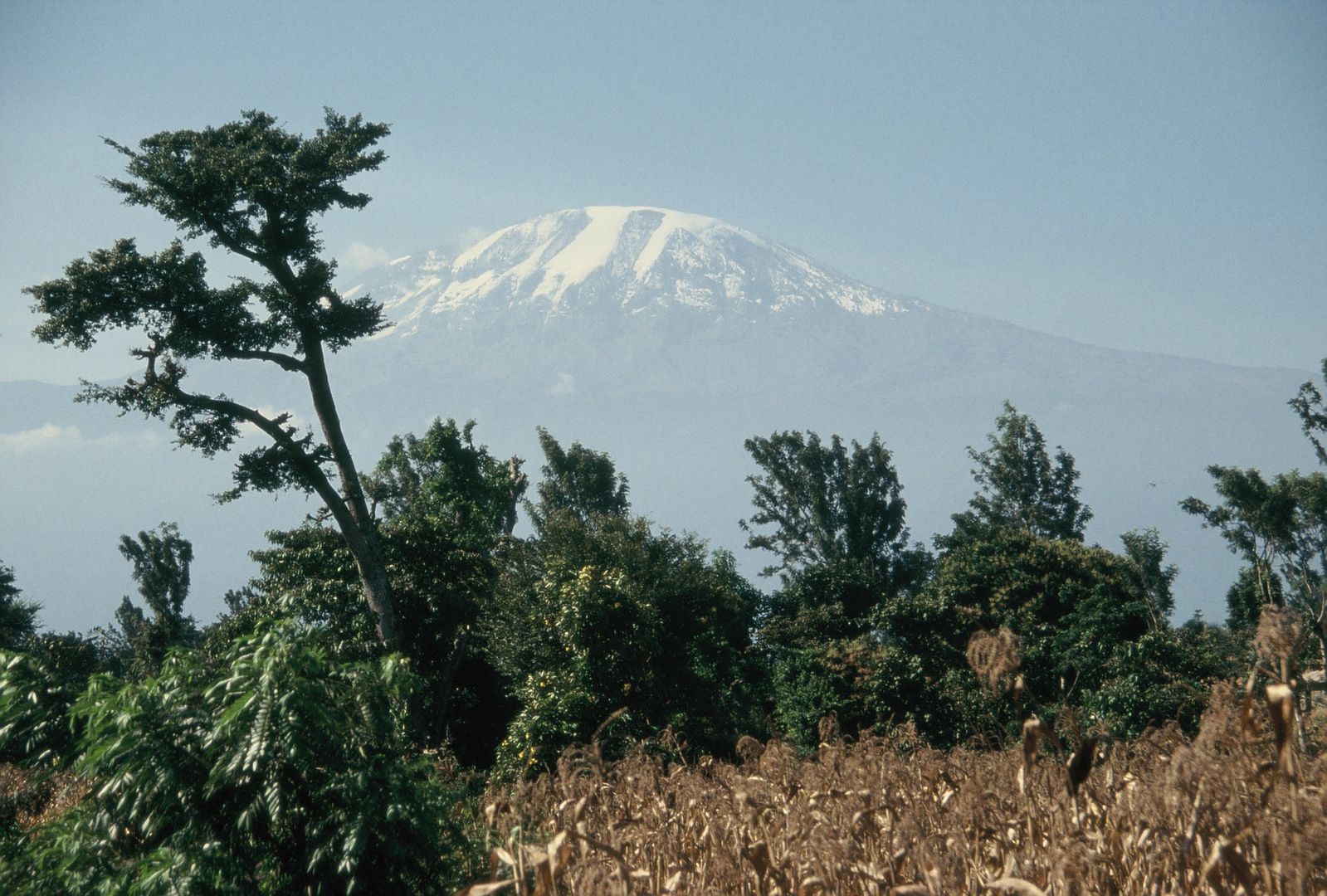 Der Kilimandscharo vom Mount-Meru-Natonalpark aus.