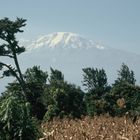 Der Kilimandscharo vom Mount-Meru-Natonalpark aus.