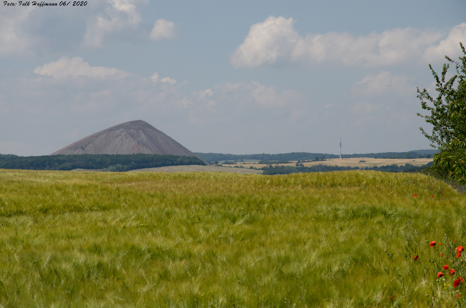 Der "Kilimandscharo" von Sangerhausen