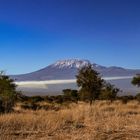 Der Kilimanjaro 
