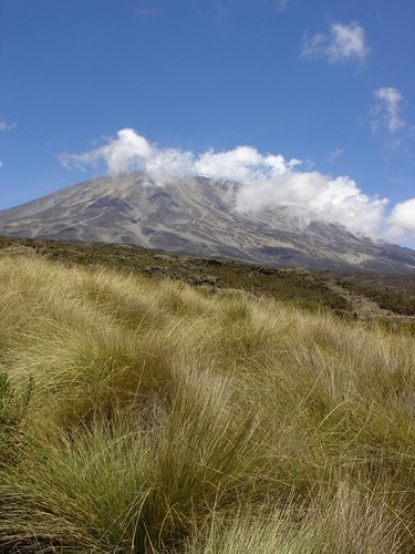 Der Kilimanjaro von Norden