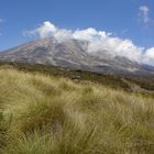 Der Kilimanjaro von Norden