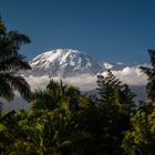 Der Kilimanjaro von seiner schönsten Seite