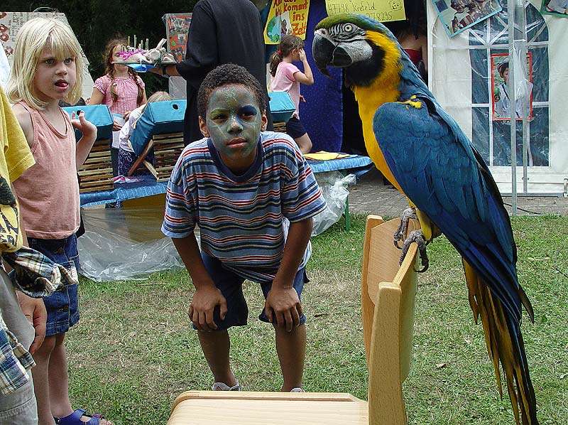 Der Kinderpapagei auf der Kinderexpo Krefeld 2003