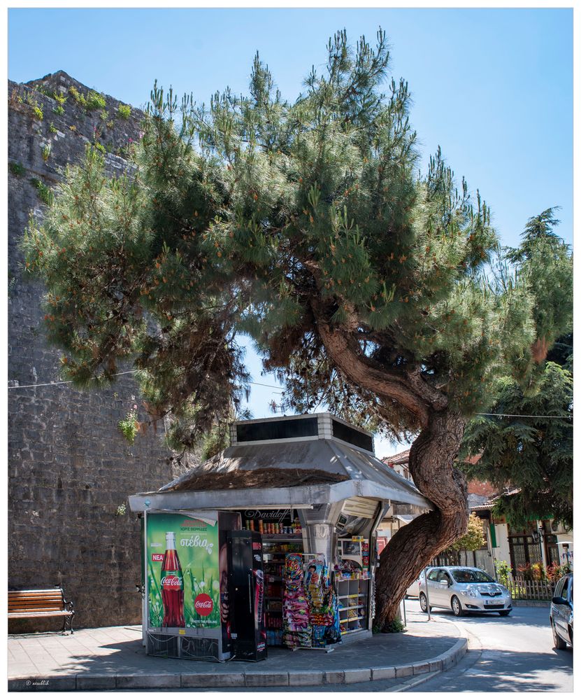 Der Kiosk und sein Baum...