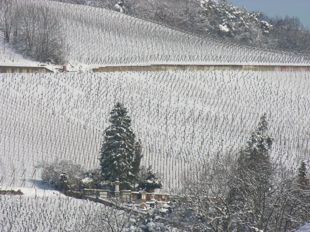 Der Kirchberg im Winter, über Barr, Elsass