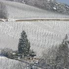 Der Kirchberg im Winter, über Barr, Elsass