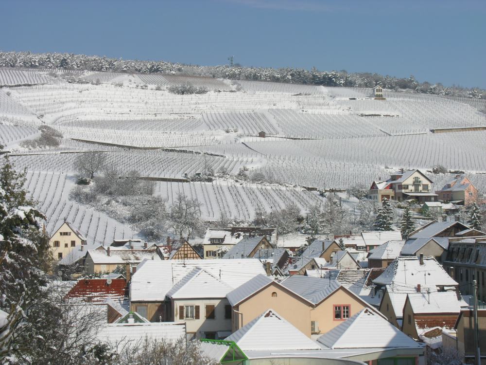 Der Kirchberg über Barr, Elsass,....letztes Jahr (noch kein Schnee dieses Jahr)