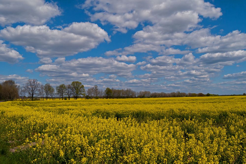 "Der Klang der Farben"