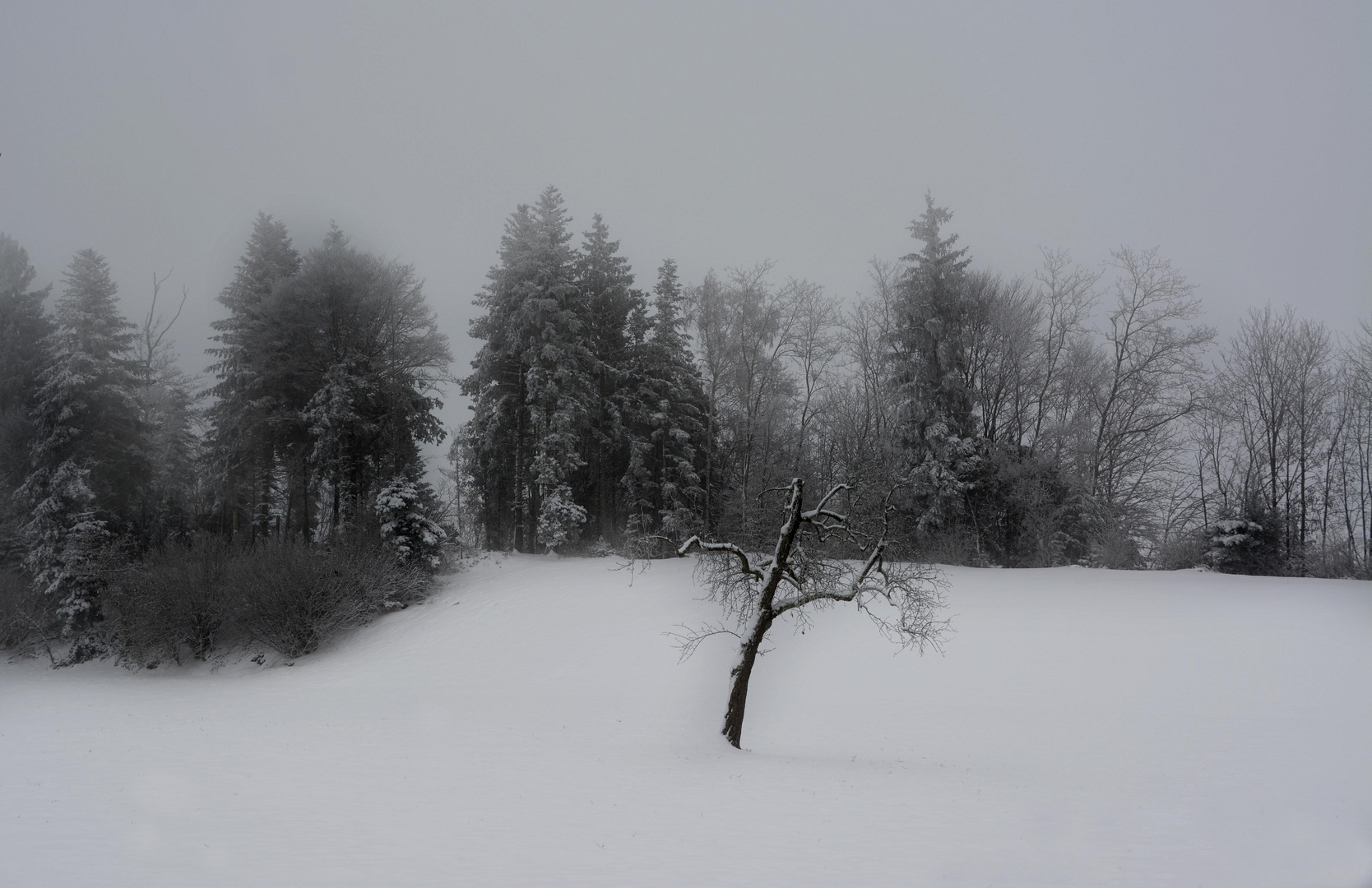 Der Klang der Stille