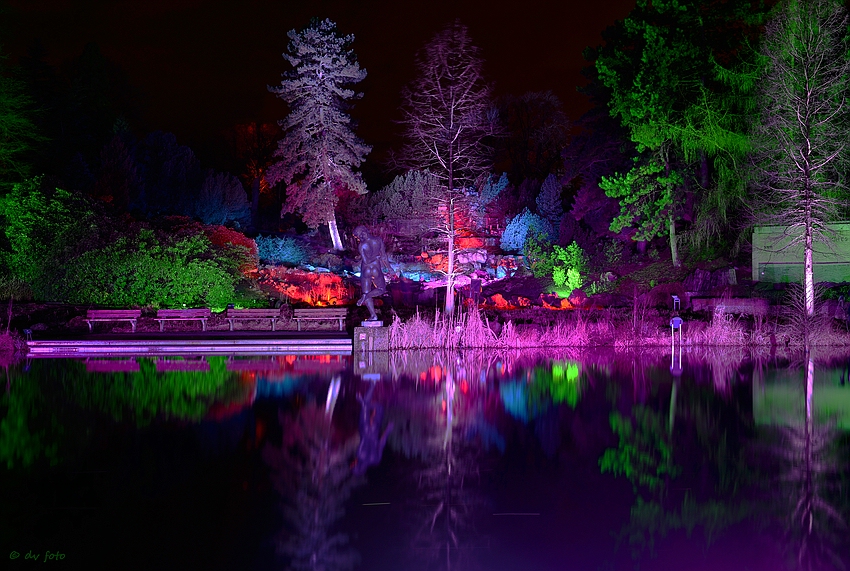 Der Klassiker am Waldsee