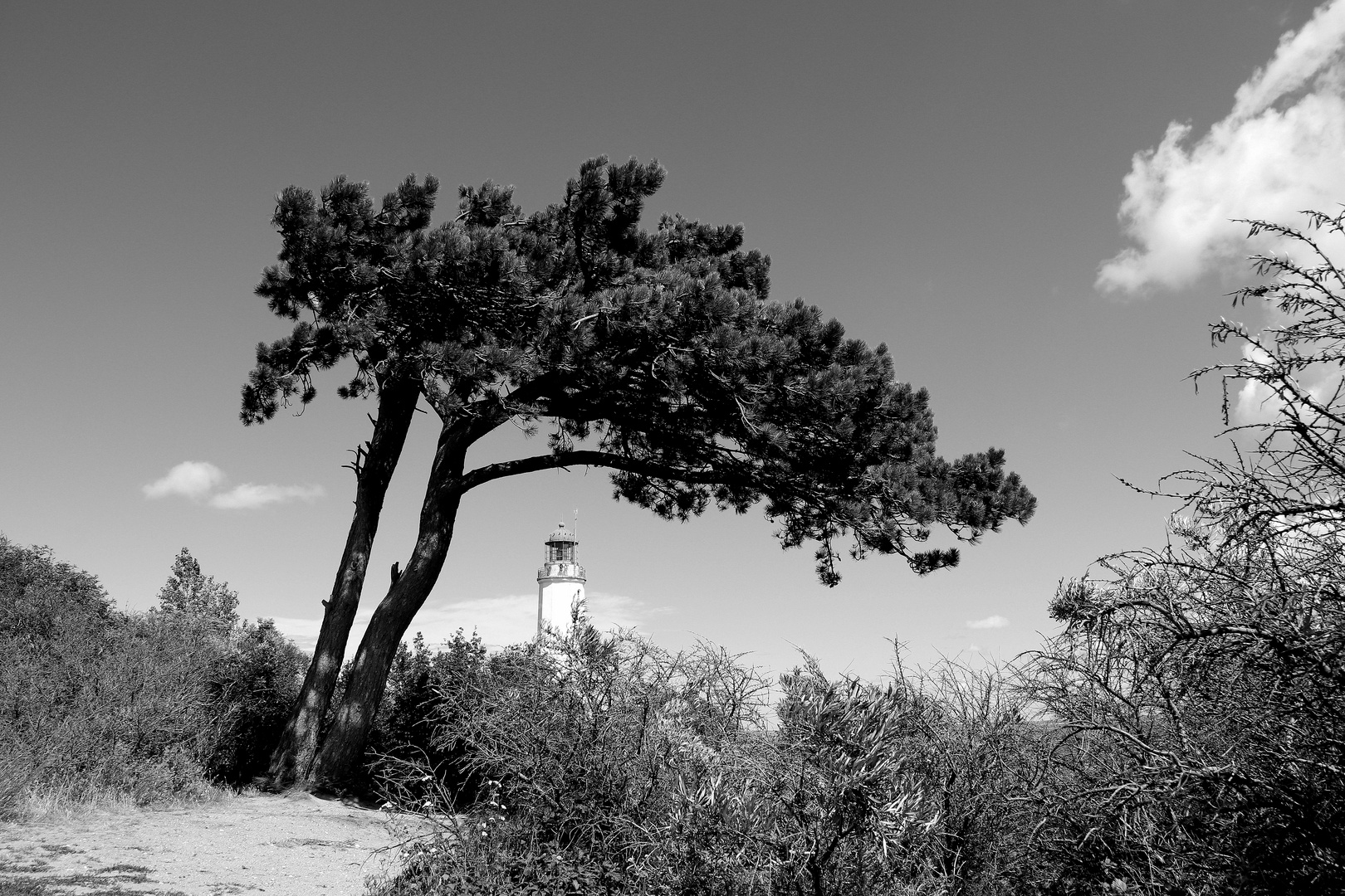 DER klassiker auf hiddensee