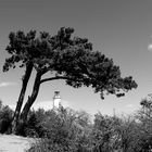 DER klassiker auf hiddensee