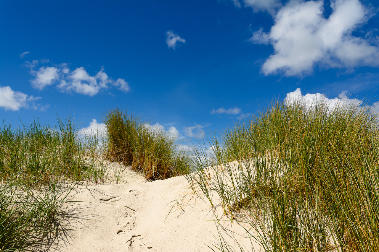 Der Klassiker: Düne auf einer Nordseeinsel