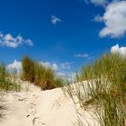 Der Klassiker: Düne auf einer Nordseeinsel