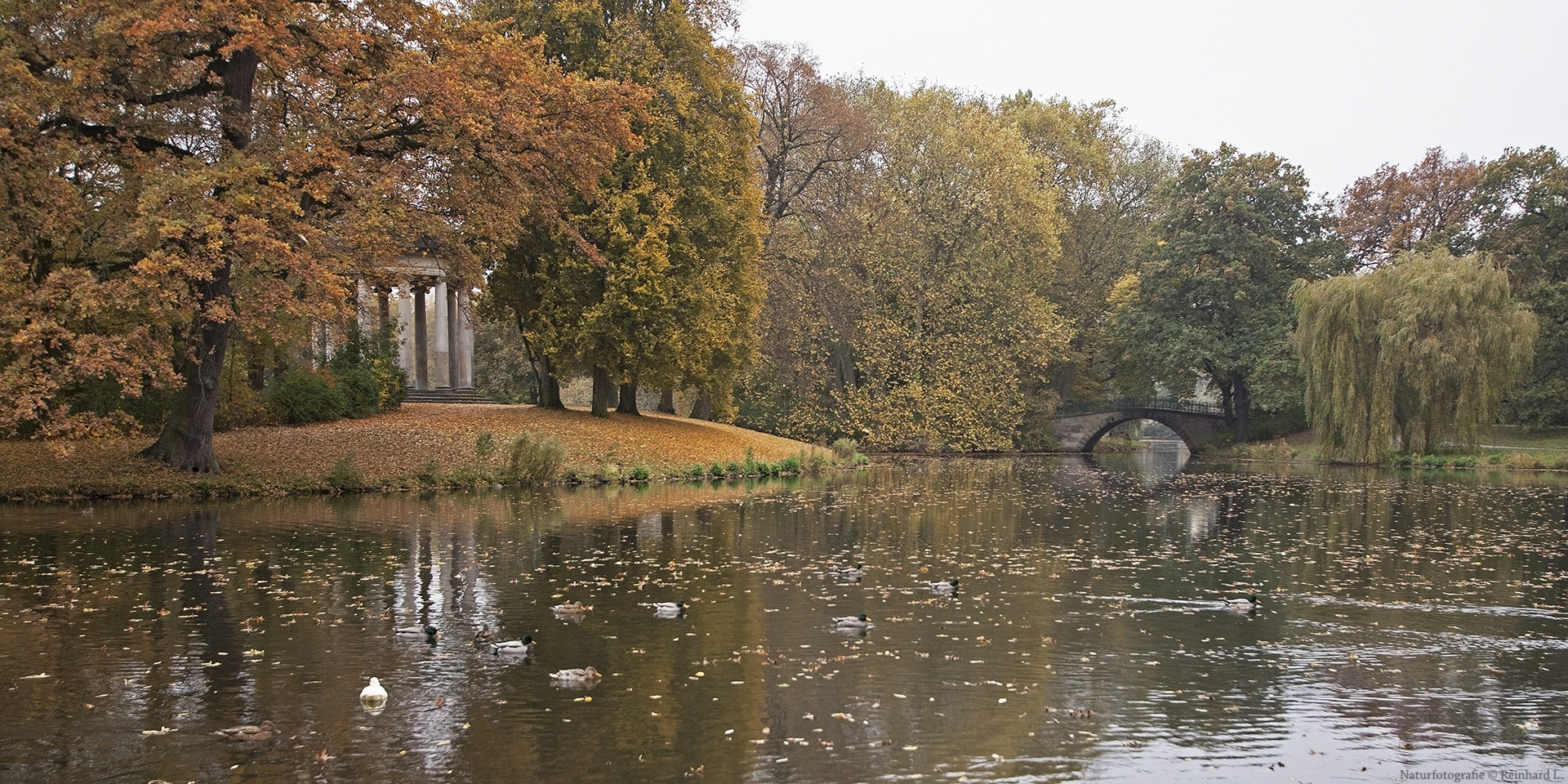 Der Klassiker im herbstlichen Georgengarten 